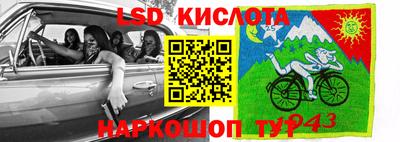 твердый Сланцы