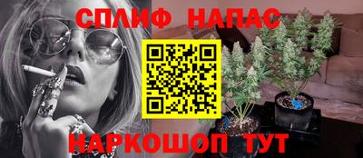 хмурый Свободный