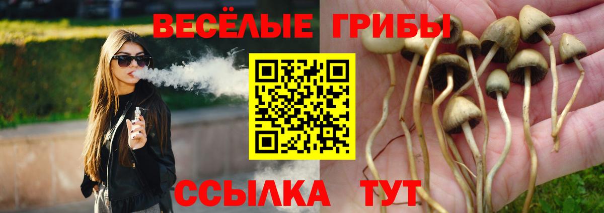 сколько стоит  Псилоцибиновые грибы Cubensis  Приморско-Ахтарск  Вход с VPN  Псилоцибиновые грибы Magic Shrooms 